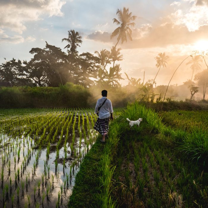 Bali